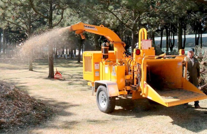 reciclado-arboles-navidad-estado-de-mexico