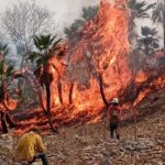 Reconocemos y agradecemos infinitamente a la brigada municipal, Protección Civil