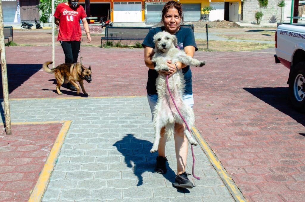 1687528516 GOBIERNO DE CHIMALHUACAN REALIZA JORNADA DE ESTERILIZACION CANINA Y FELINA