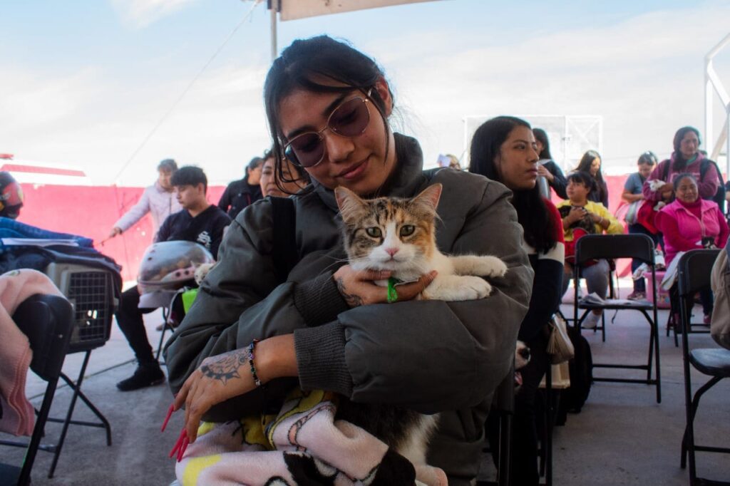 1697749943 ESTERILIZAN 200 PERROS Y GATOS EN DEPORTIVO HERREROS DE CHIMALHUACAN