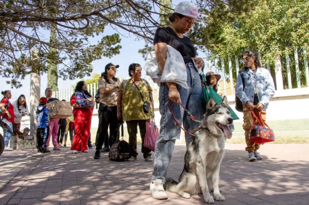 1699913934 CON LAS JORNADAS CANINAS Y FELINAS GOBIERNO DE CHIMALHUACAN LLEGA