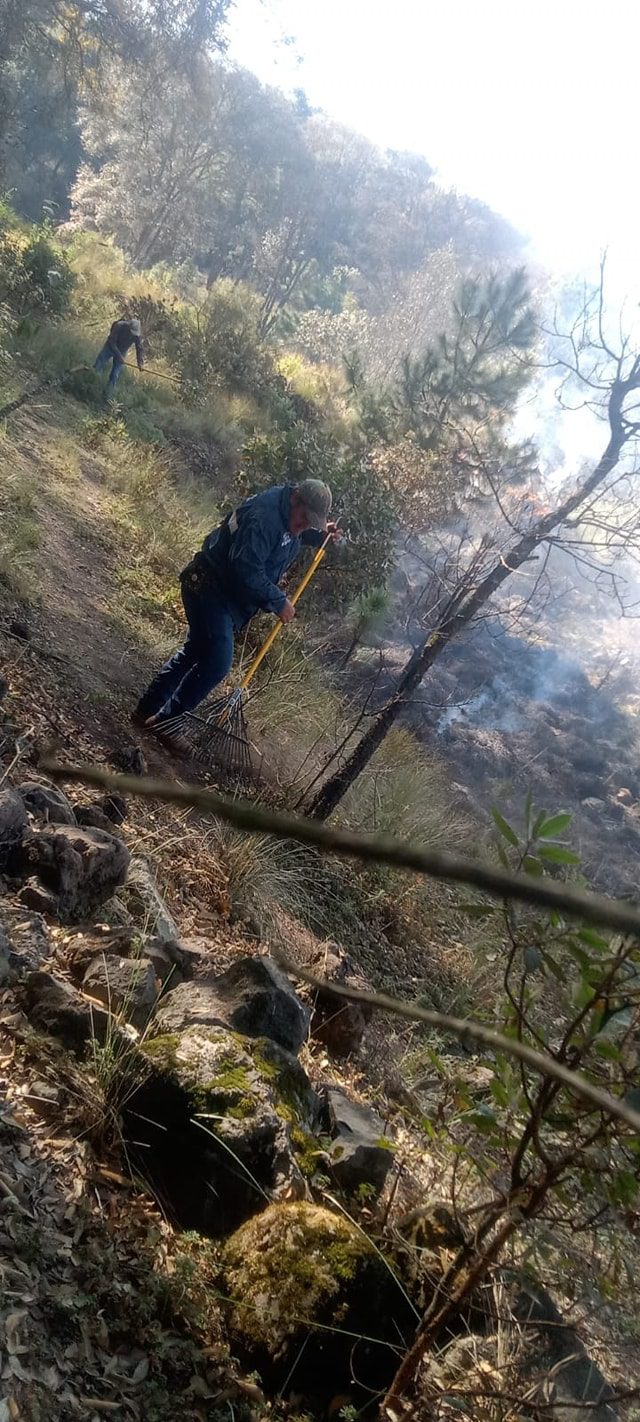 1710122252 23 Hoy la brigada forestal de la Direccion de Medio Ambiente