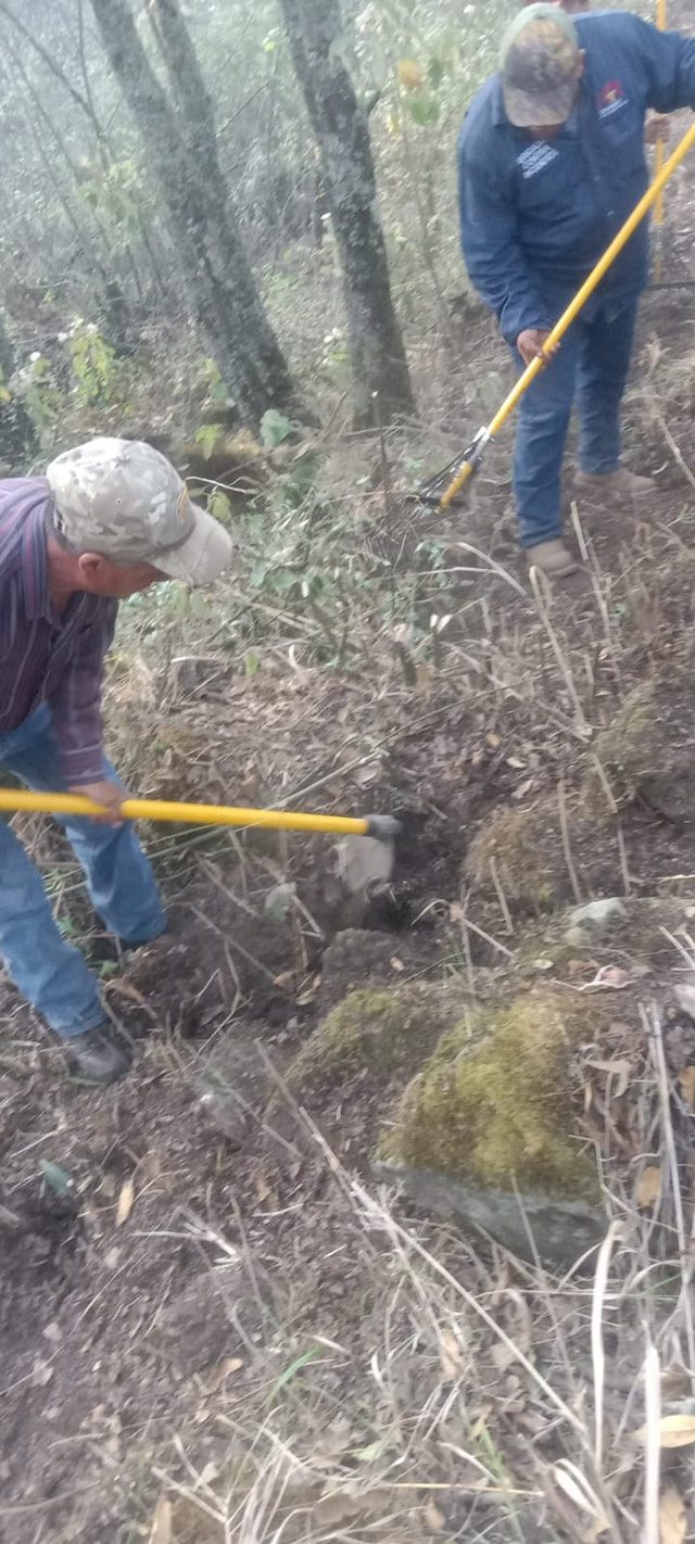 1710122252 330 Hoy la brigada forestal de la Direccion de Medio Ambiente