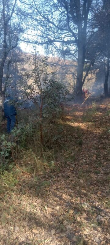 1710122257 Hoy la brigada forestal de la Direccion de Medio Ambiente scaled