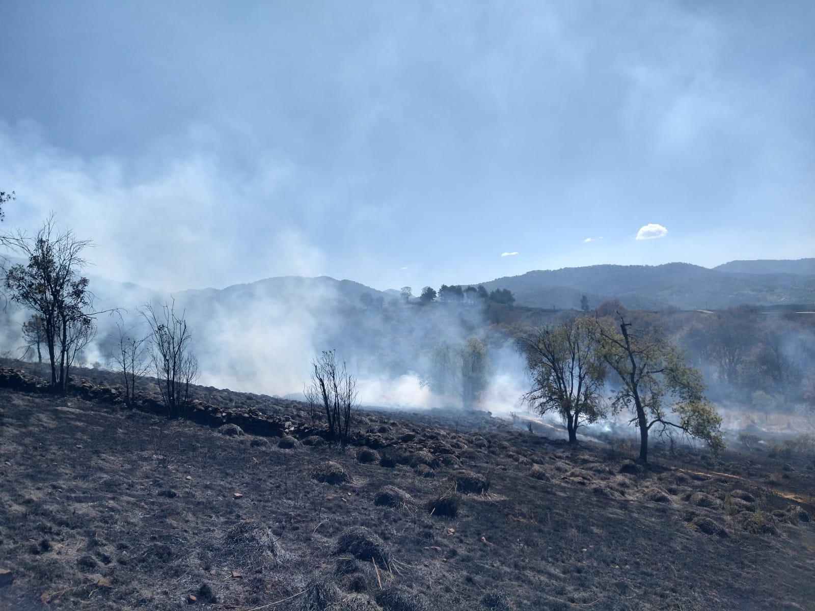 1710131370 167 Se continua laborando en los distintos incendios que se han