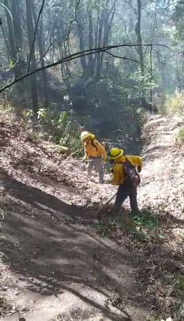 1710131370 337 Se continua laborando en los distintos incendios que se han