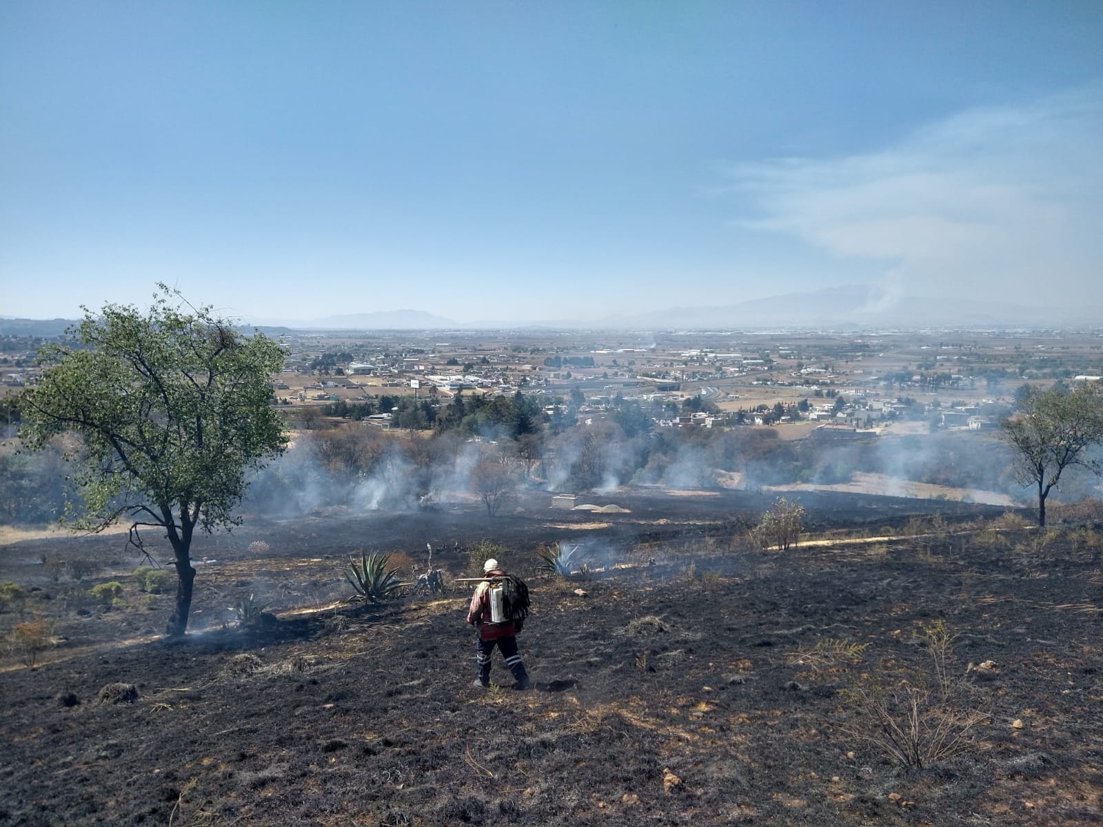 1710131370 882 Se continua laborando en los distintos incendios que se han