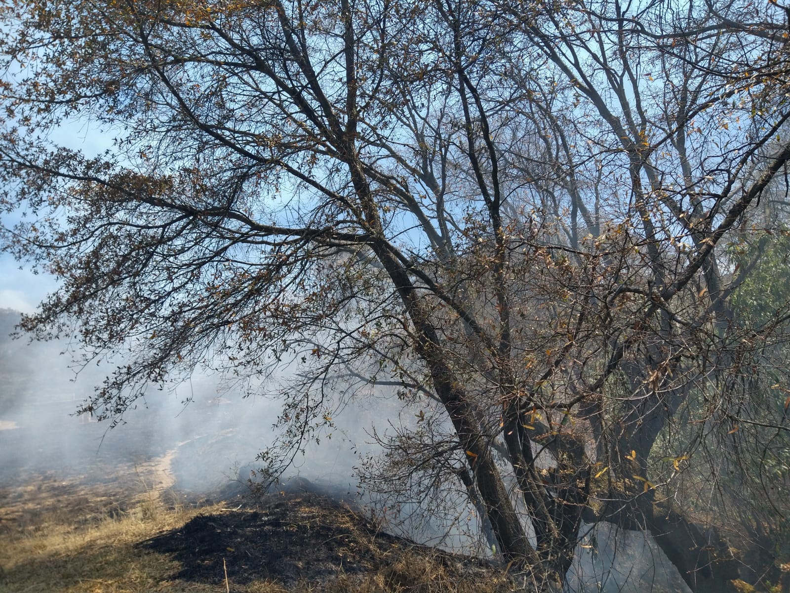 1710131370 95 Se continua laborando en los distintos incendios que se han