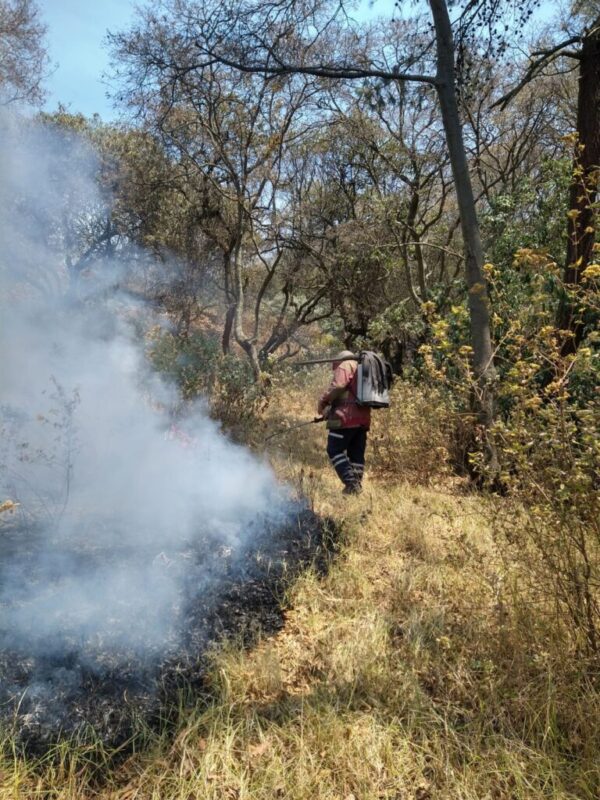 1710131377 Se continua laborando en los distintos incendios que se han scaled