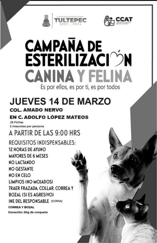 1710355892 PROXIMA CAMPANA DE ESTERILZIACION Te esperamos manana con tus mascotas