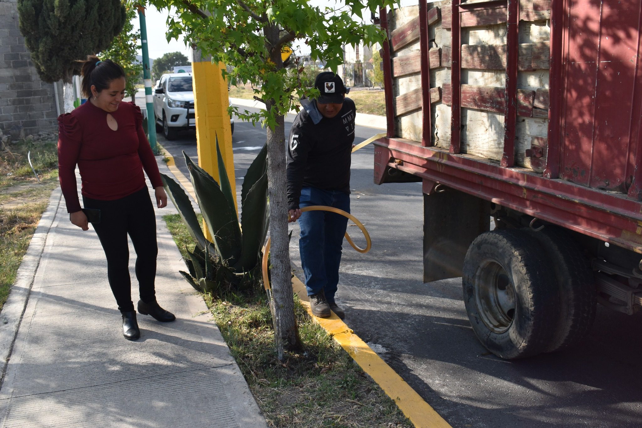 1710429579 265 Entre todos cuidamos nuestras areas verdes