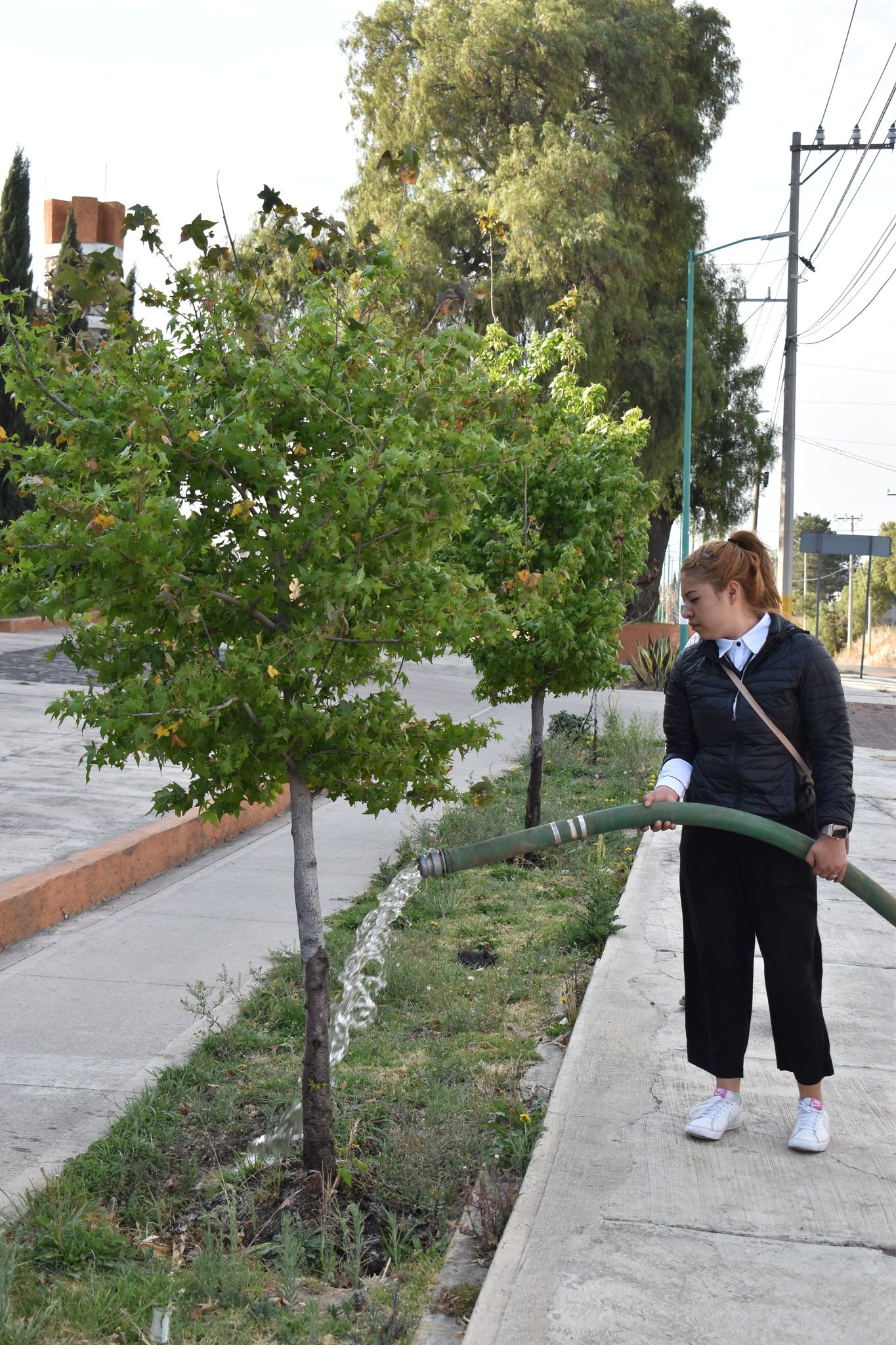 1710429579 369 Entre todos cuidamos nuestras areas verdes