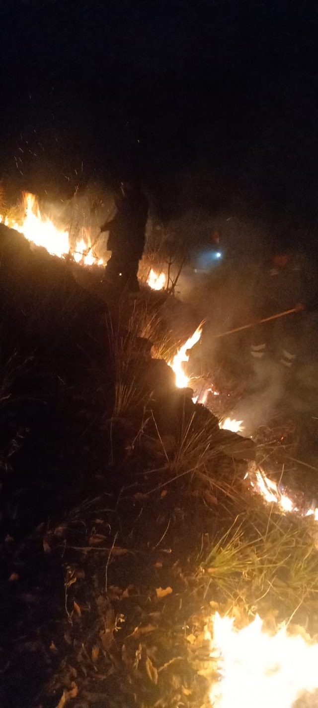 1710614883 38 La noche de este jueves la brigada Forestal de la