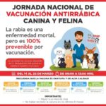 Jornada nacional de vacunación antirrábica canina y felina.