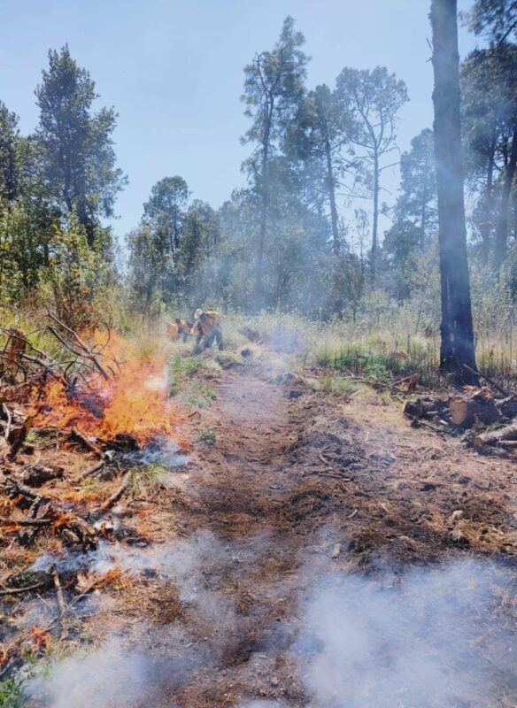 1710906355 ProteccionCivil LA DIRECCION DEL MEDIOAMBIENTE DE OCUILAN INFORMA SOBRE EL