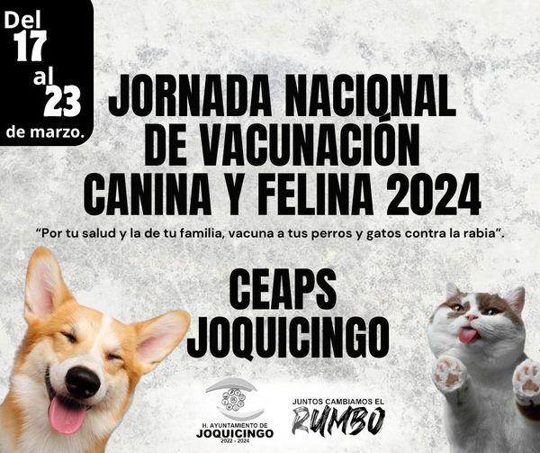 JORNADA NACIONAL DE VACUNACIÓN CANINA Y FELINA 2024.