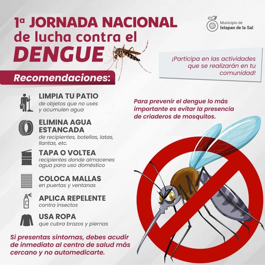 Jornada nacional de lucha contra el Dengue