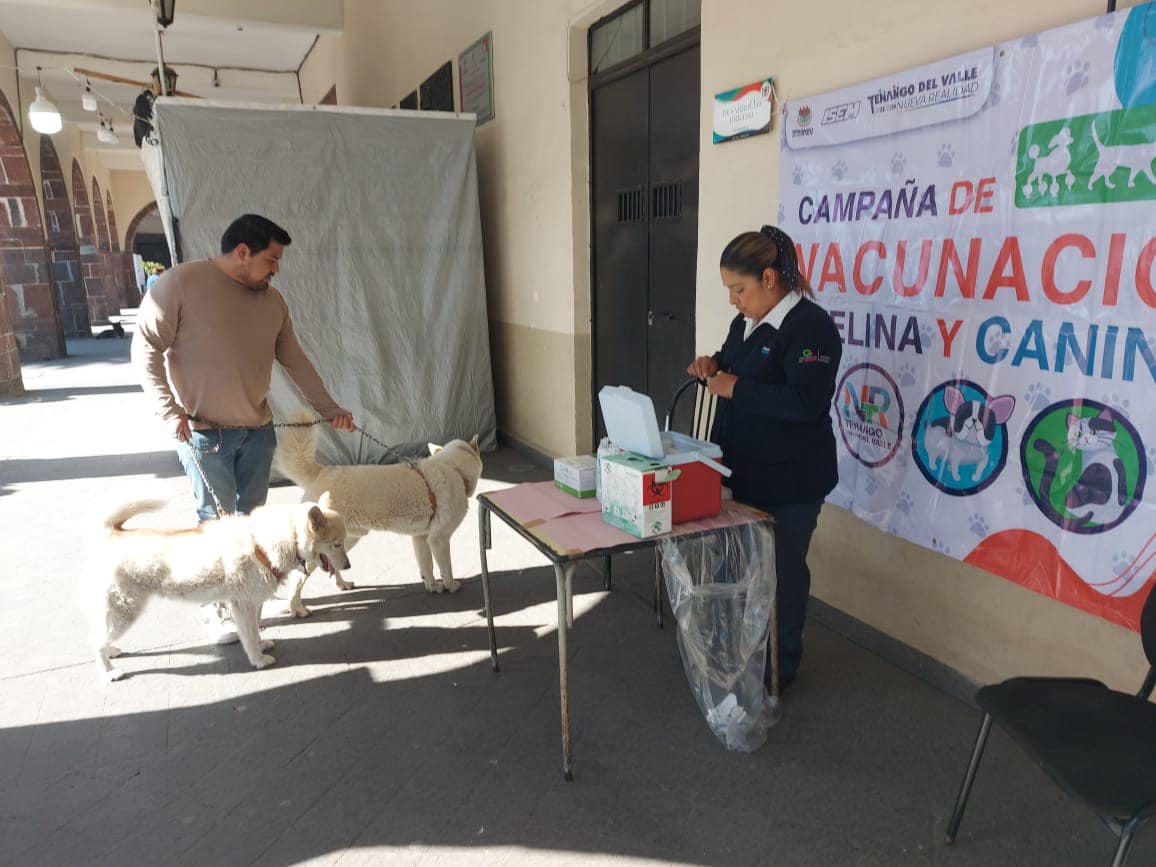 #JornadaNacional de #VacunaciónAntirrabica #Canina y #Felina. Ya puedes traer