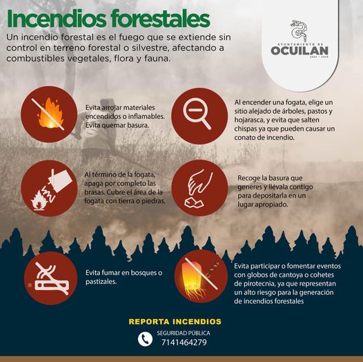 ProteccionCivil Protege nuestros bosques ¡previene incendios forestales Cono