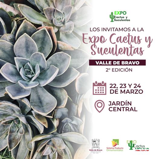 ¡Las y los invitamos a nuestra Expo Cactus y Suculentas