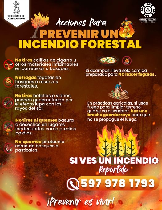 ¡Los incendios forestales se pueden prevenir Te compartimos algunas sugerencia