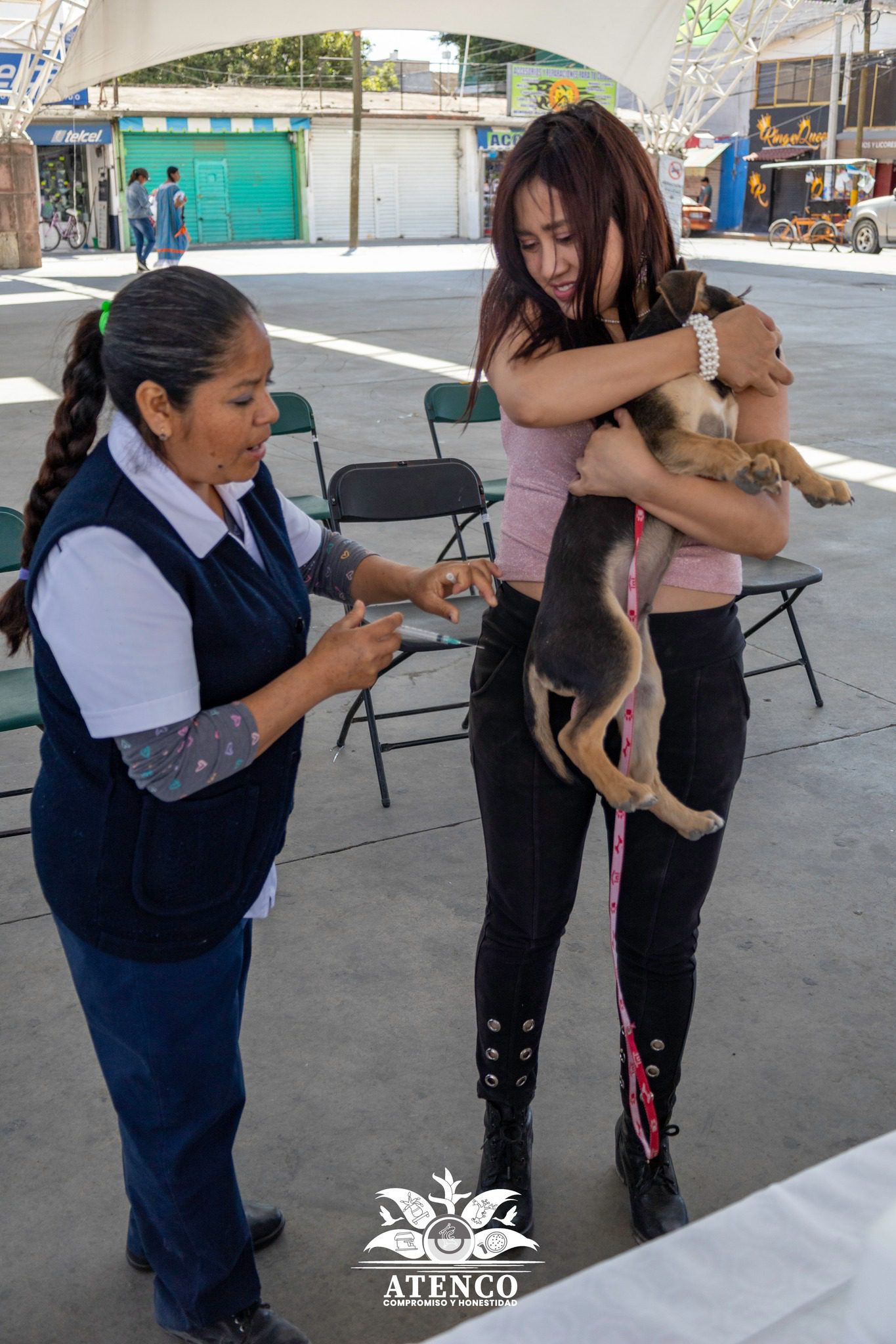 1714768371 498 Participa junto con tu mascota en la JORNADA NACIONAL DE