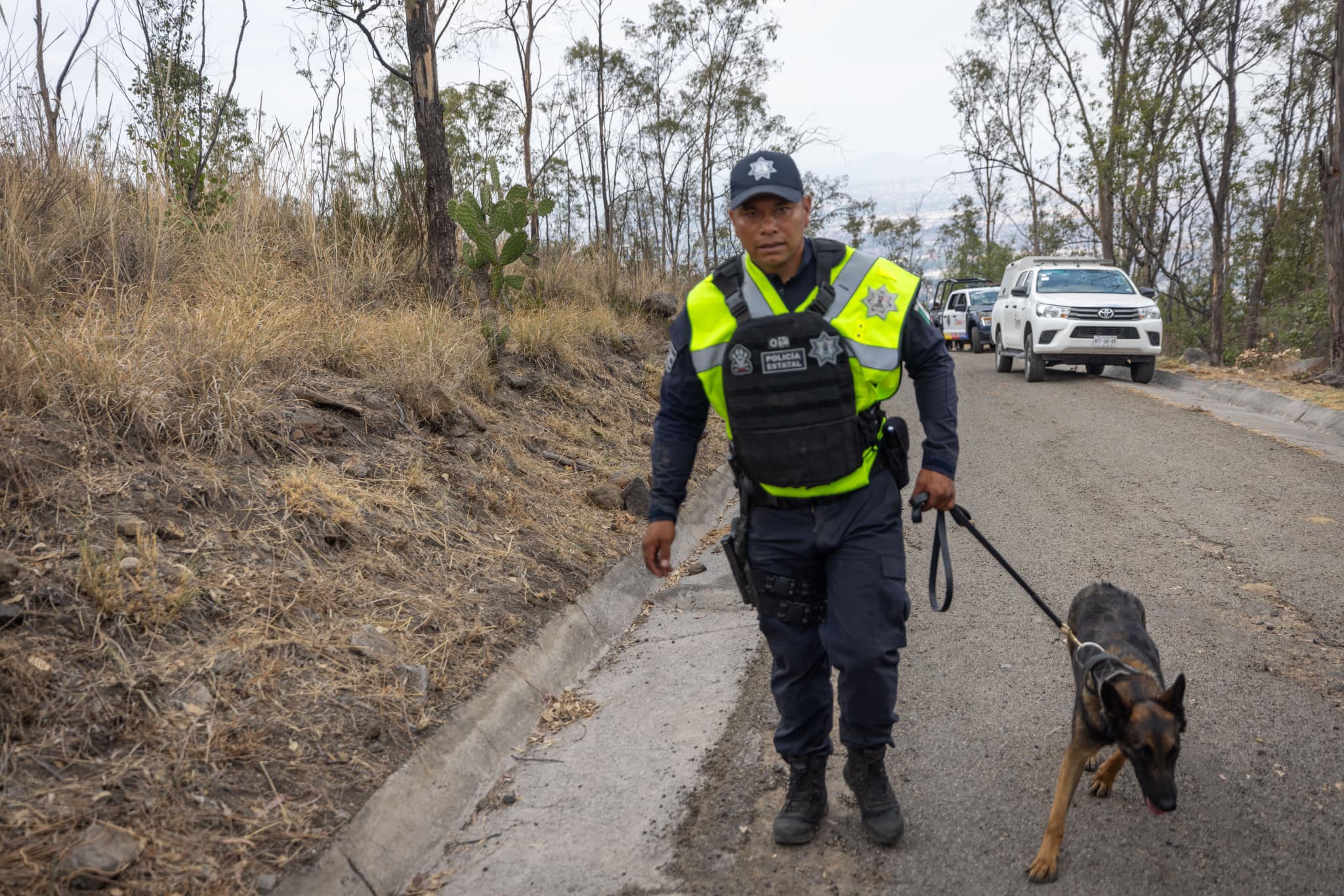 1714803519 106 La Celula de Busqueda y Rescate de Personas con la