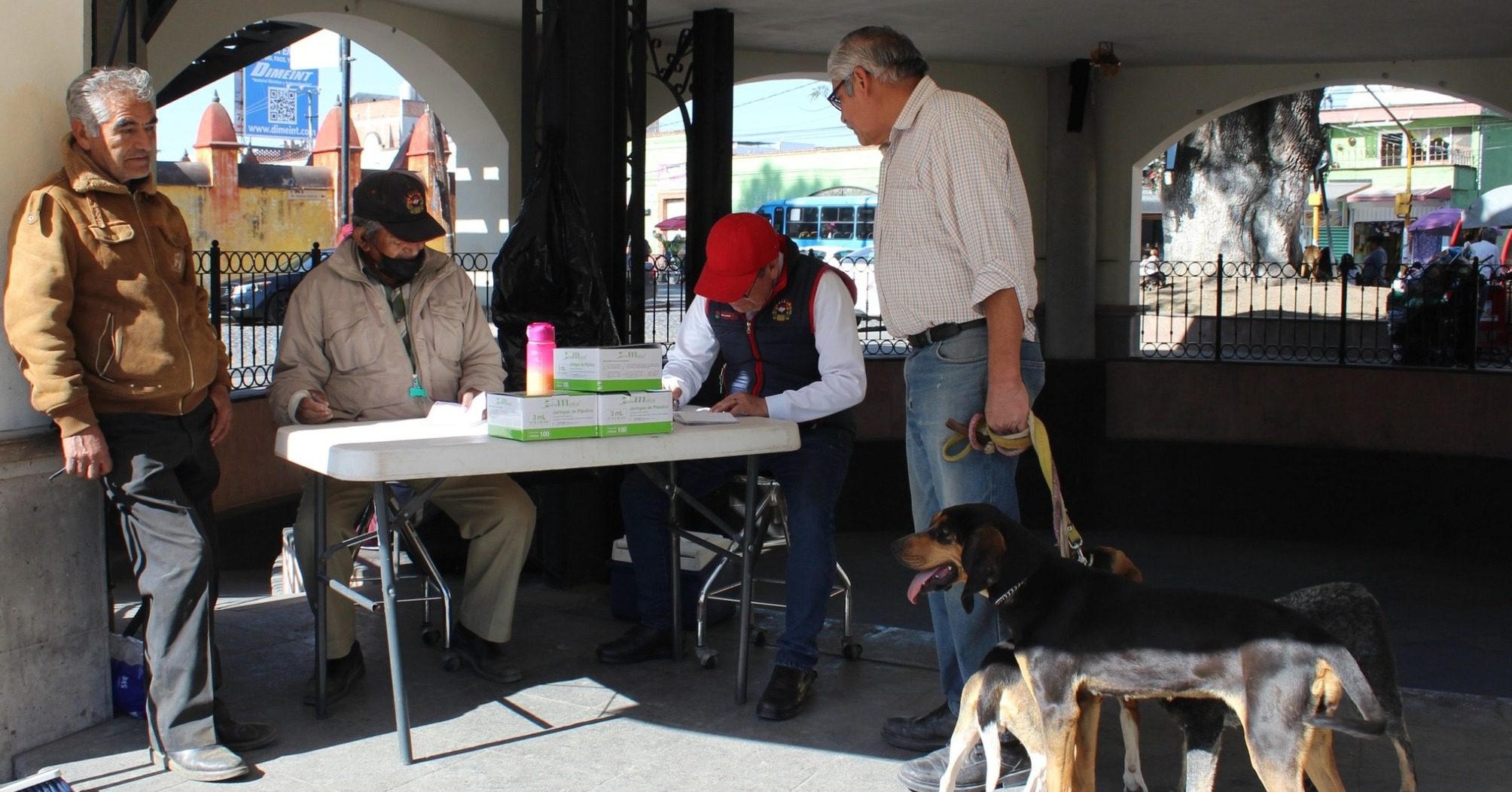 1714805292 474 La proteccion a los animales de compania es nuestra responsabilidad