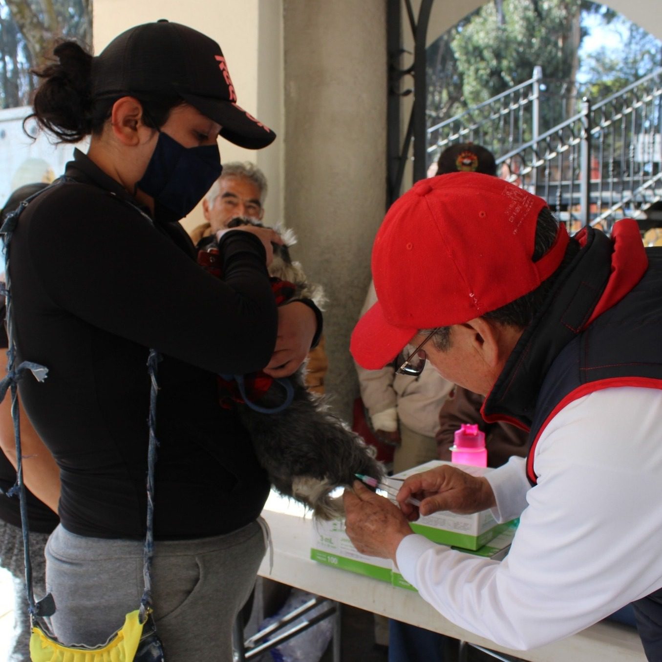 1714805293 543 La proteccion a los animales de compania es nuestra responsabilidad