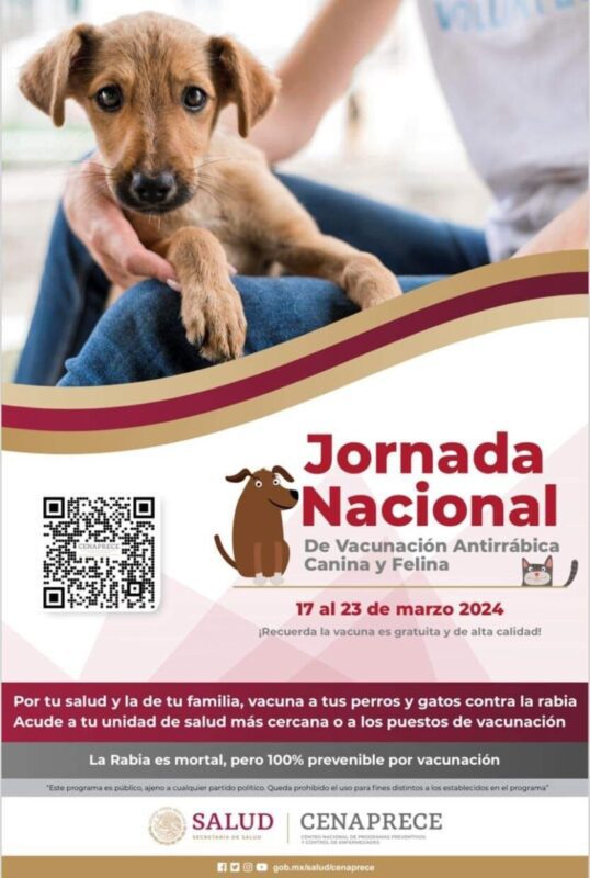 1714809092 Porque la salud de nuestras mascotas tambien es importante scaled