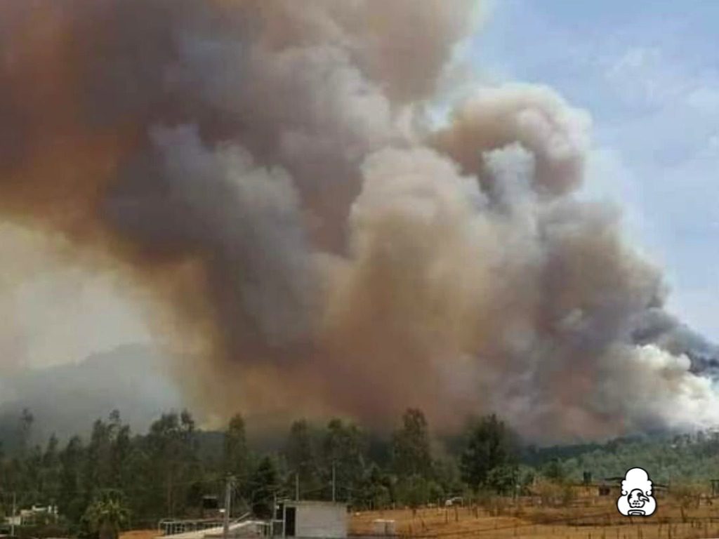 1714825930 299 Se ha reportado un incendio de gran magnitud que esta