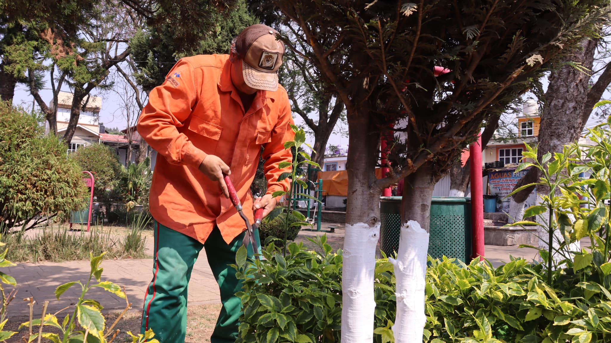 1714826903 839 ProteccionCivil Hoy el equipo de Parques y Jardines junto con