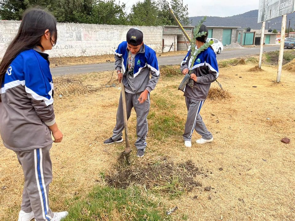 1714843776 199 Plantacion de arboles El Ayuntamiento de Temascalcingo a traves de