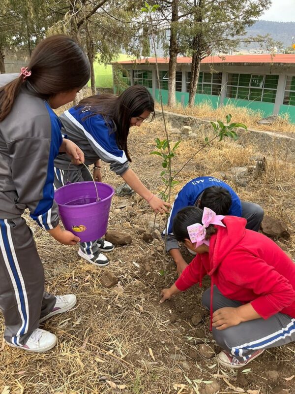 1714843776 330 Plantacion de arboles El Ayuntamiento de Temascalcingo a traves de