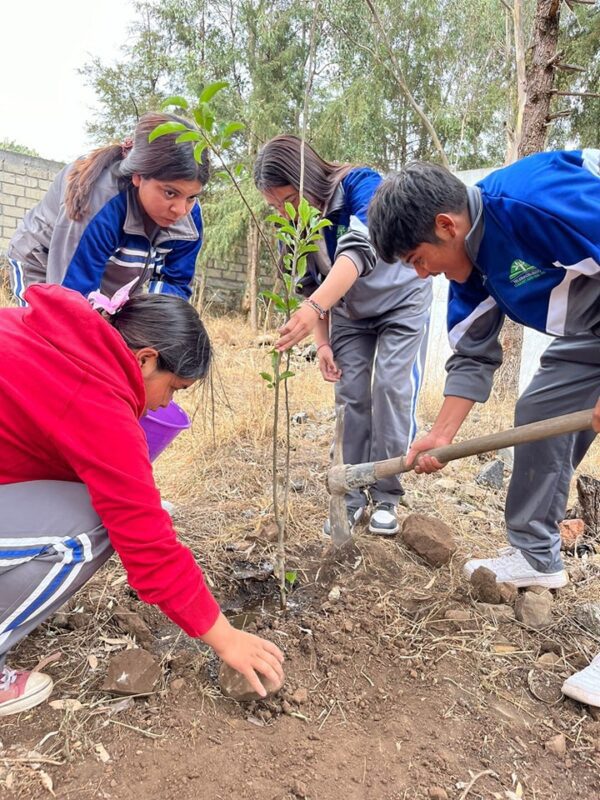 1714843776 81 Plantacion de arboles El Ayuntamiento de Temascalcingo a traves de