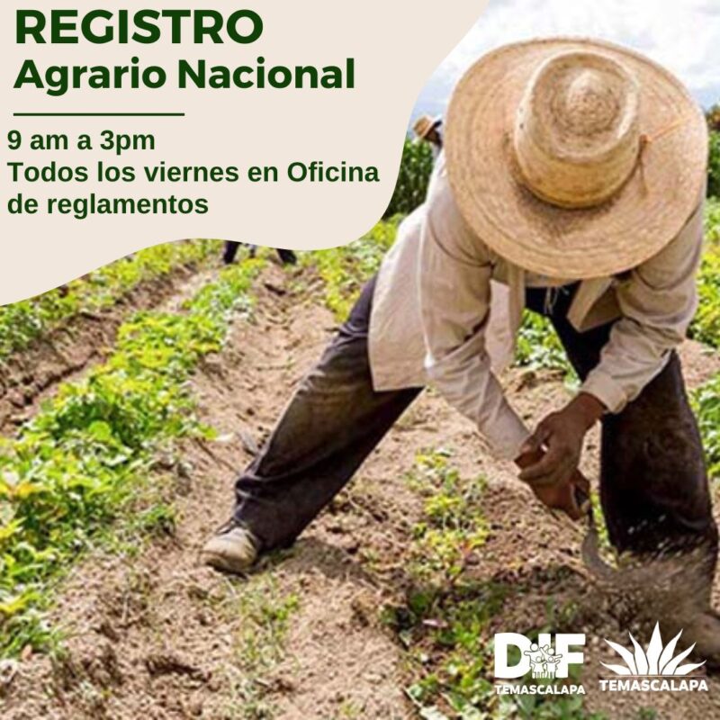 1714898083 REGISTRO AGRARIO