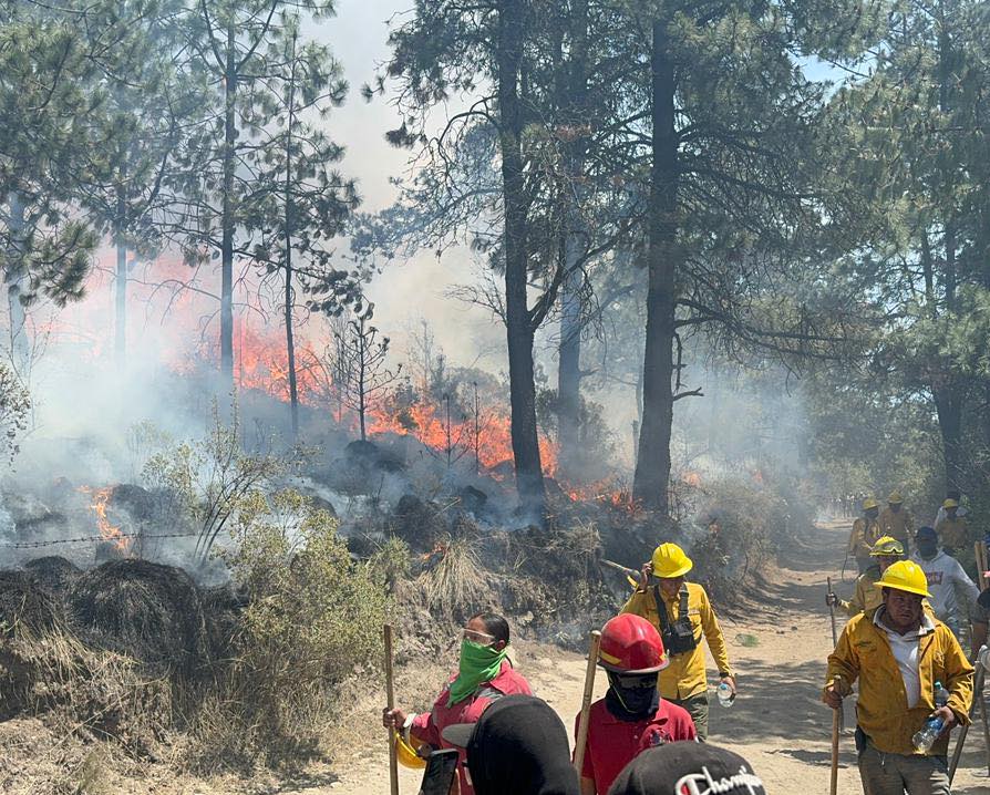 1714973200 856 En el Dia Internacional del Bombero reflexionamos sobre la valentia