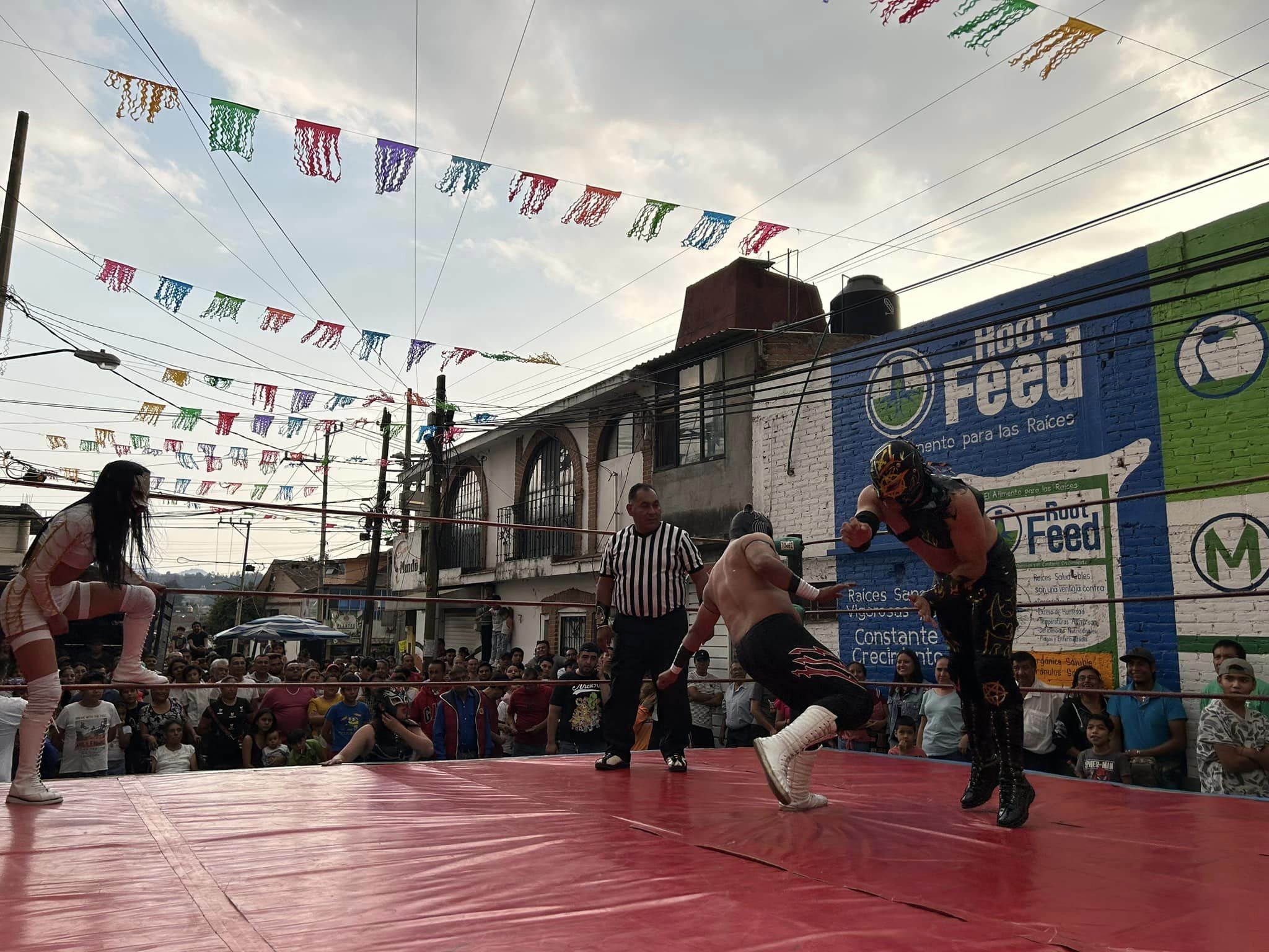 1714988336 838 Asi vivimos las cuatro luchas del cartel de lucha libre