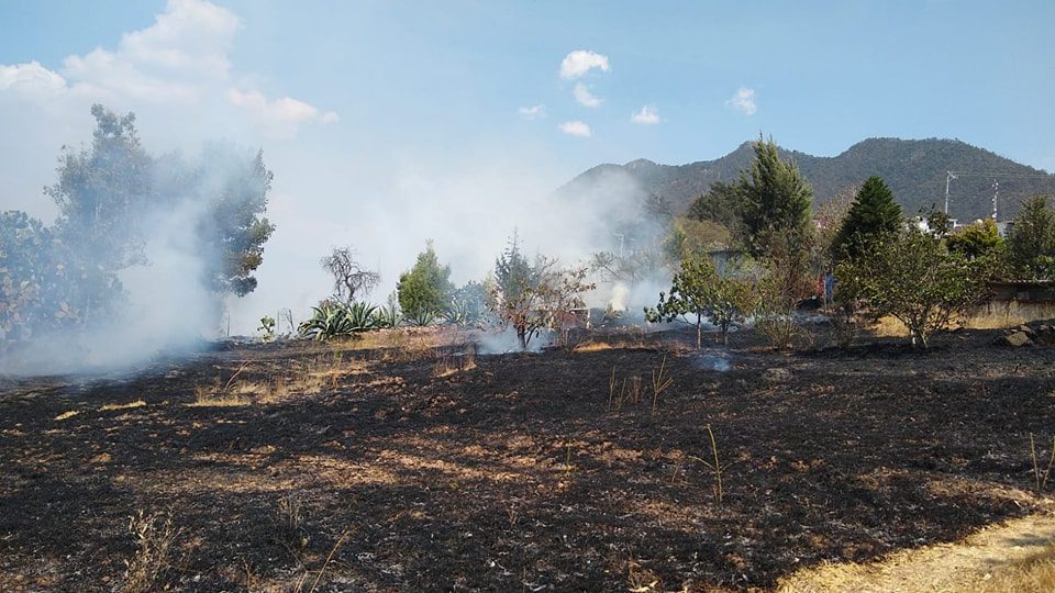 1715060797 245 Incendio Proteccion Civil y Seguridad Publica sofocaron un incendio