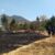 #Incendio | Protección Civil y Seguridad Pública sofocaron un incendio pastizal