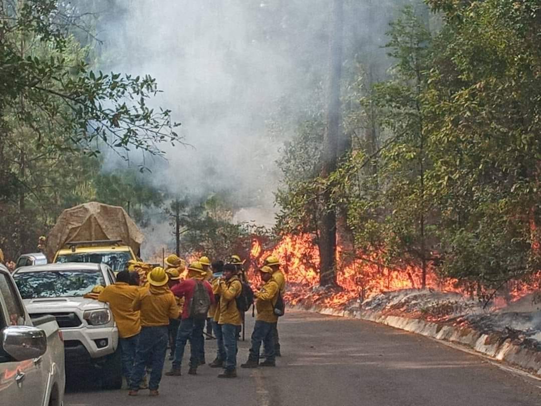 1715062087 349 Las y los brigadistas forestales cumplen una importante labor en