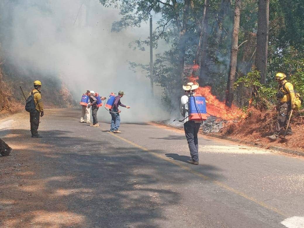 1715062087 350 Las y los brigadistas forestales cumplen una importante labor en