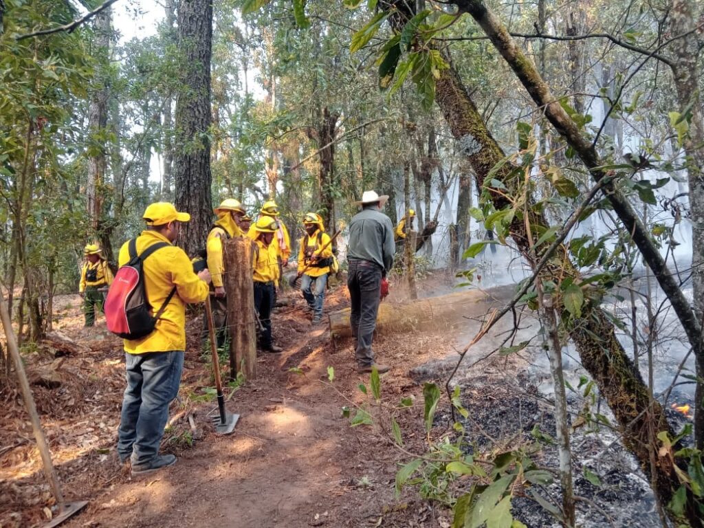 1715062087 511 Las y los brigadistas forestales cumplen una importante labor en