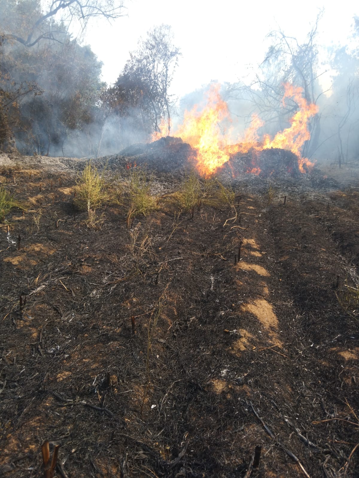 1715082345 65 Se registro un incendio en el paraje de Cuautitla es