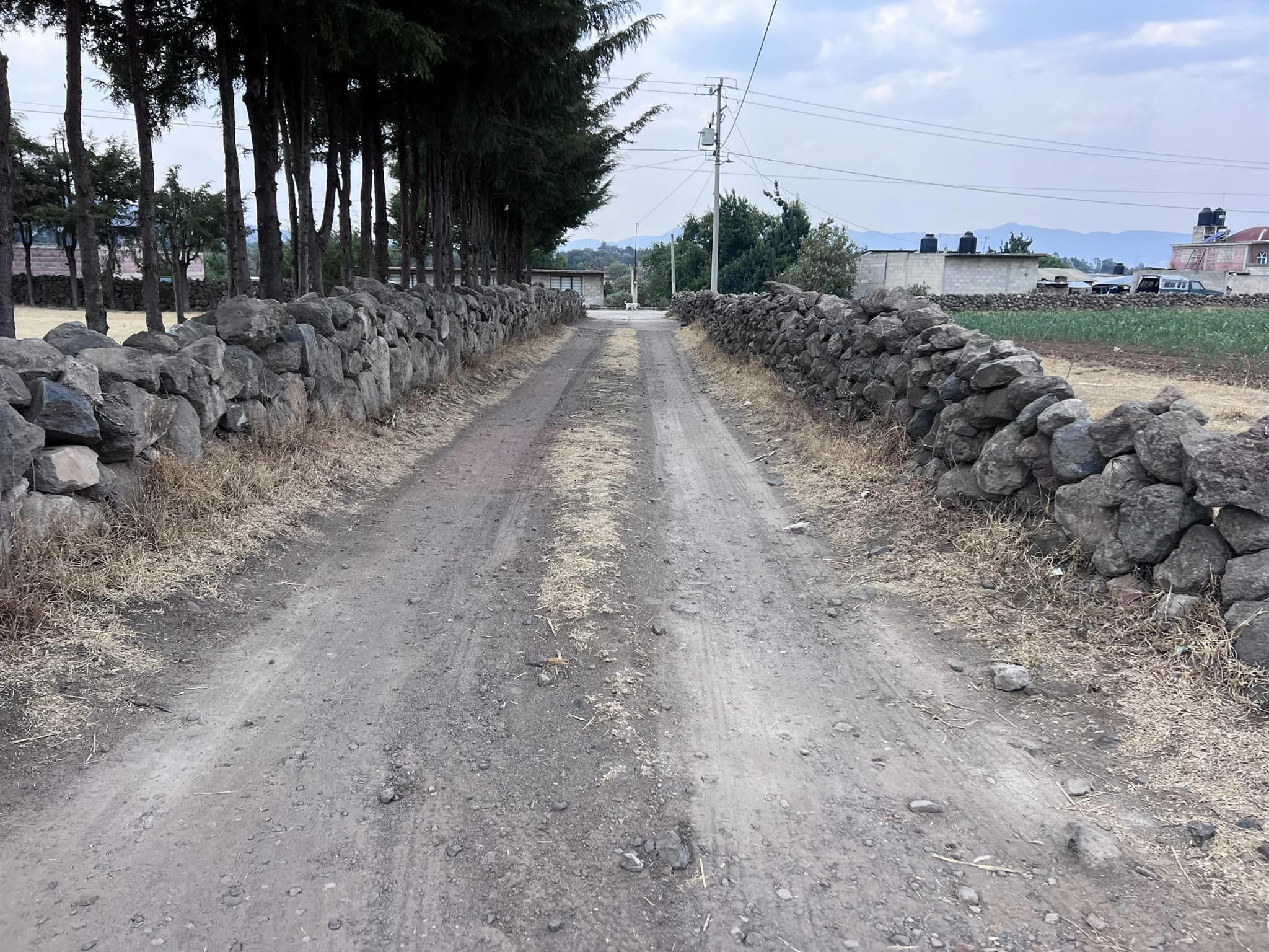 1715117653 308 En el Campo Jocotitlense existen hombres y mujeres que todos