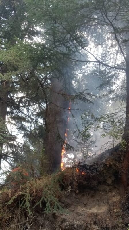 1715223165 221 ¡Lo que el fuego devora en dias puede tardar 100