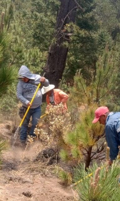 1715223165 489 ¡Lo que el fuego devora en dias puede tardar 100