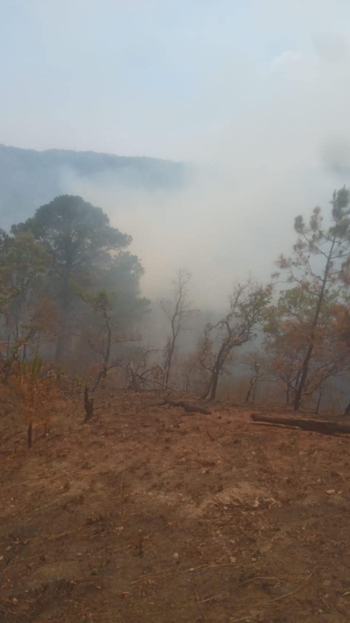 1715259750 634 La brigada contra incendios trabajando el dia de hoy en