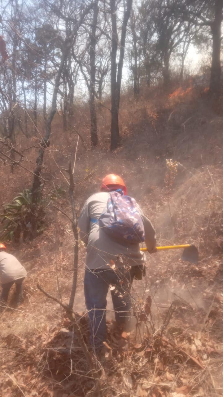 1715259750 851 La brigada contra incendios trabajando el dia de hoy en