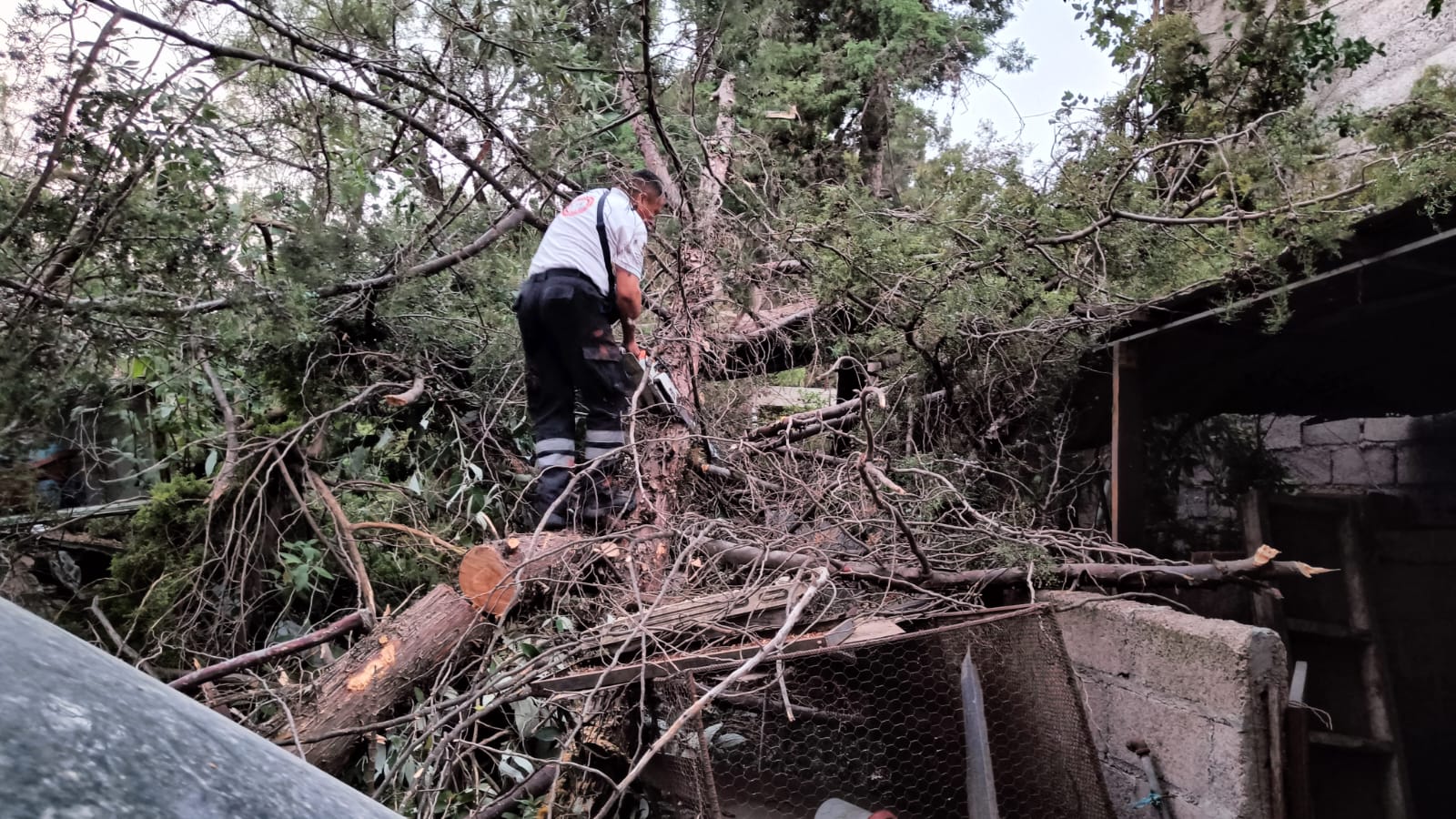 1715277528 344 Vecino de Teotihuacan toma las debidas precauciones